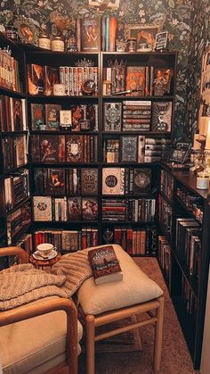 a room filled with lots of books and furniture