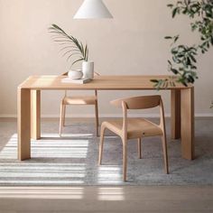 a dining table with two chairs and a plant in the corner next to it on a carpeted floor