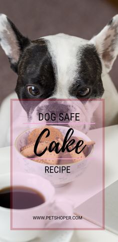 a dog is eating out of a bowl with the words dog safe cake recipe in front of it