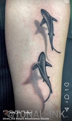 two black and white dolphins tattoo on the leg