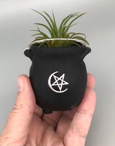 a hand holding a black caulder with a pentagram on it and a plant growing out of it