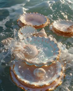 three seashells in the water with bubbles on them