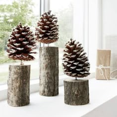 three pine cones sitting on top of wooden logs in front of a window sill