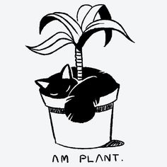 a black and white drawing of a cat sleeping in a potted plant that says i am plant