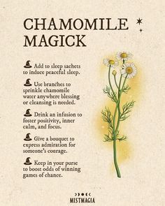 a poster with instructions on how to use chamomile magick