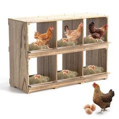 a wooden shelf filled with chickens and eggs