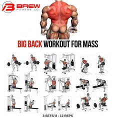 the big back workout for mass