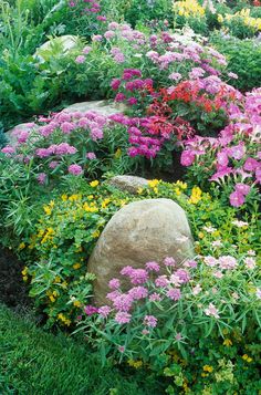 colorful flowers and rocks in a garden