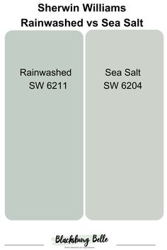 two different shades of sea salt and sherylin williams's rainwashed vs sea salt