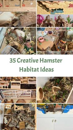 several different pictures with the words 35 creative hamster habitat ideas