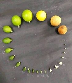 there are many fruits and vegetables arranged in the shape of a circle on top of a table