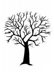 a tree with no leaves is shown in black on a white background and has the words,