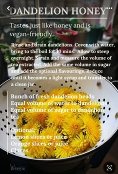 dandelion honey in a colander with instructions on how to use it