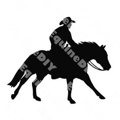 the silhouette of a cowboy riding a horse with his lasso on it's back