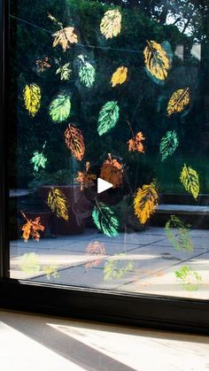 a window with leaves drawn on it