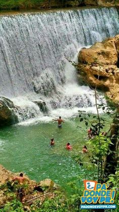 people are swimming in the water near a large waterfall and some green plants on either side