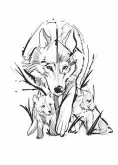 an ink drawing of two wolfs and their cubs