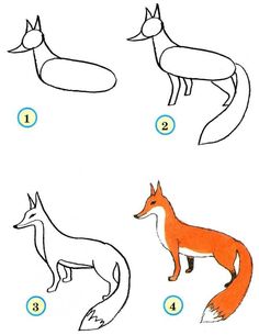 how to draw a fox step by step with pictures for kids and beginner drawing