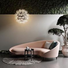 a living room filled with furniture and a potted plant