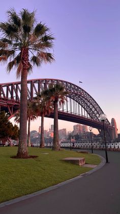 palm trees are in the foreground and a bridge is in the background on a sunny day