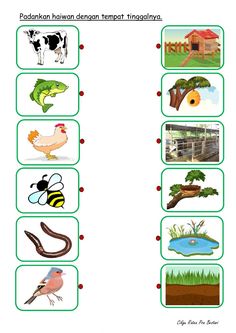 the worksheet is filled with pictures of animals and plants