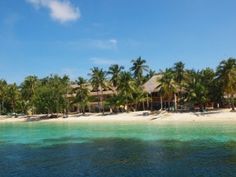 the beach is surrounded by palm trees and blue water in front of an overhanged hut