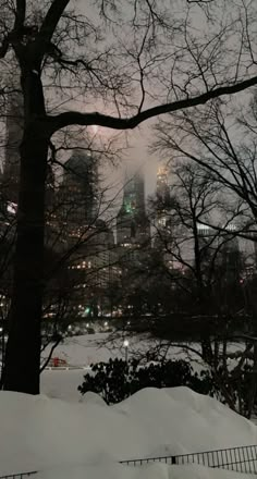 snow covers the ground and trees in central park, new york city at night with skyscrapers in the background