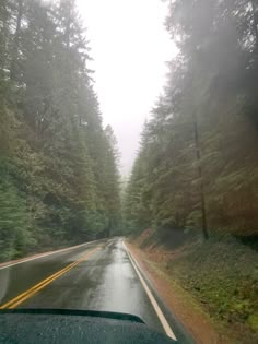 the windshield of a car driving down a road in front of tall pine trees on a foggy day