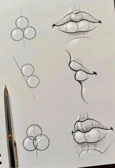 a drawing of different lips and noses