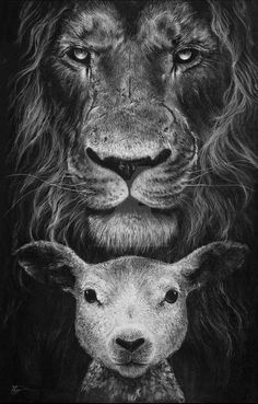 a lion and a lamb are shown in this black and white photo with the same image