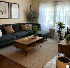 a living room filled with furniture and potted plants in front of a window on top of a rug