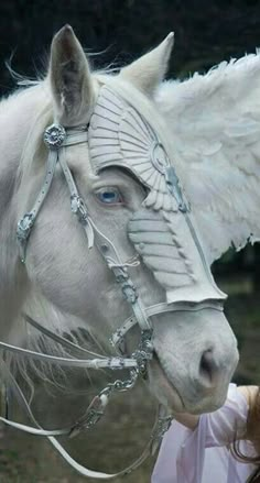 a white horse with wings on it's head is being held by a woman