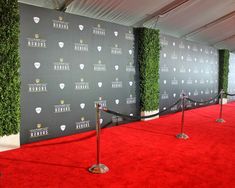 a red carpeted area with barriers and bushes on the wall in front of it