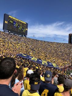 a large crowd of people at a football game