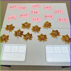 a white table topped with lots of leaves covered in post - it notes and magnets