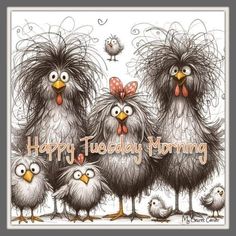 three chickens and two chicks with the words happy tuesday morning written on their faces in front of them