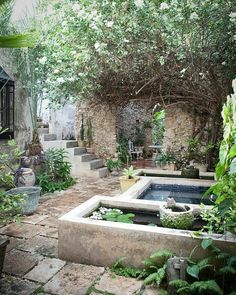 an outdoor pool surrounded by greenery and stone steps