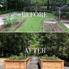 before and after pictures of a garden with raised beds in the middle, then planted into wooden planters