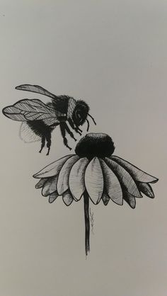 Bee Drawing, Bee Painting, Bee Tattoo, Desenho Tattoo, Bee Art, Ink Drawings, Urban Sketchers, Arte Sketchbook, Black Eyed Susan