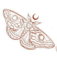 a drawing of a butterfly on a white background