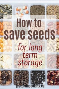 the words how to save seeds for long term storage are in front of an image of nuts