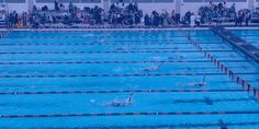 swimmers in the swimming pool with spectators watching