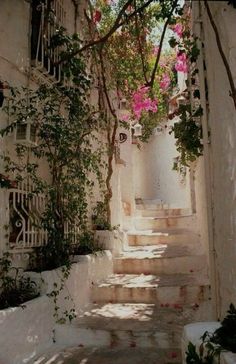 an alley way with flowers growing on the walls and steps leading up to it's entrance