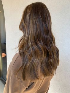 GET LONGER STRONGER HAIR WITH THIS DIY RECIPE | BRUNETTE HAIR Rambut Brunette, Honey Brown Hair, Brunette Balayage Hair, Balayage Brunette, Hair Inspiration Color