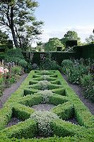 a garden filled with lots of green plants and flowers on top of a lush green field