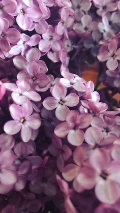 purple flowers are in a glass vase on the table