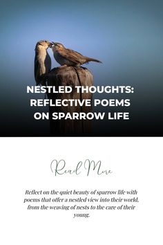 two birds sitting on top of a post with the words nested thoughts reflective poem on sparrow