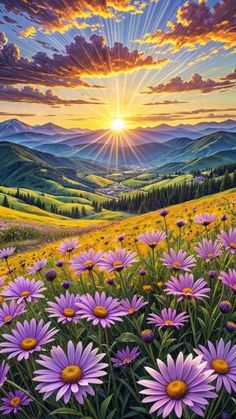 Nice Good Morning Images, Sunset Landscape Photography, Reference Photos For Artists, Watercolor Paintings Nature, Meaningful Pictures, Phone Wallpaper Pink, Flower Art Drawing, Android Wallpaper Flowers, Sun Shine