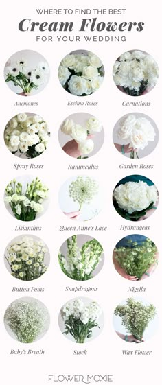 a poster with flowers and the words cream flowers for your wedding