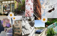 a collage of photos with flowers and buildings